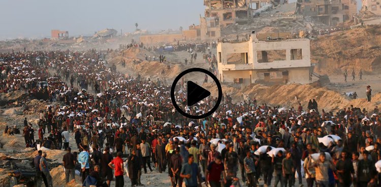 gaza-gaza.jpg